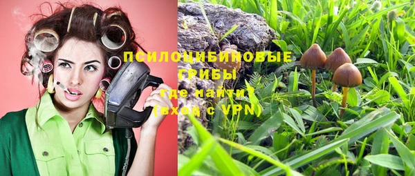 гашик Баксан