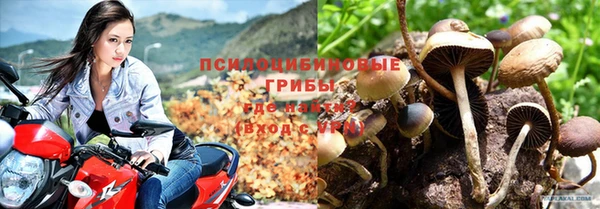 гашик Баксан