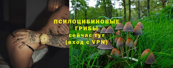 дмт Балахна